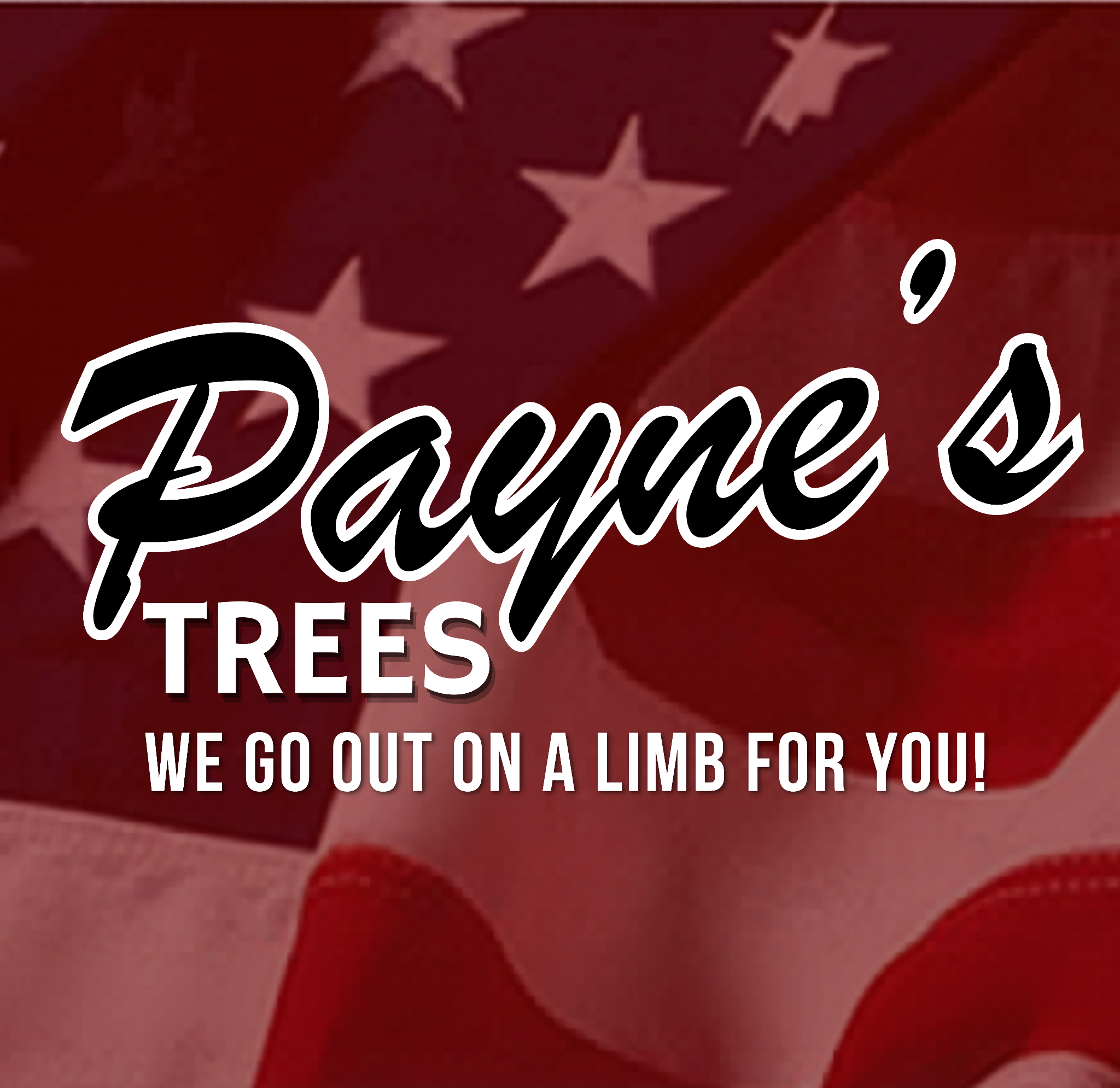 Payne's Tree Logo